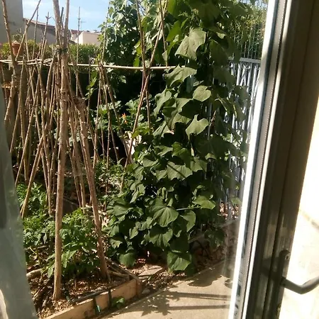 Centre - Sur Potager Privat bolig *